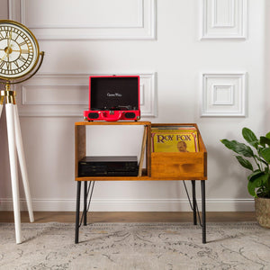 New Jersey - Record Player Cabinet - Vinyl Storage - mrBudak