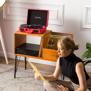 New Jersey - Record Player Cabinet - Vinyl Storage - mrBudak